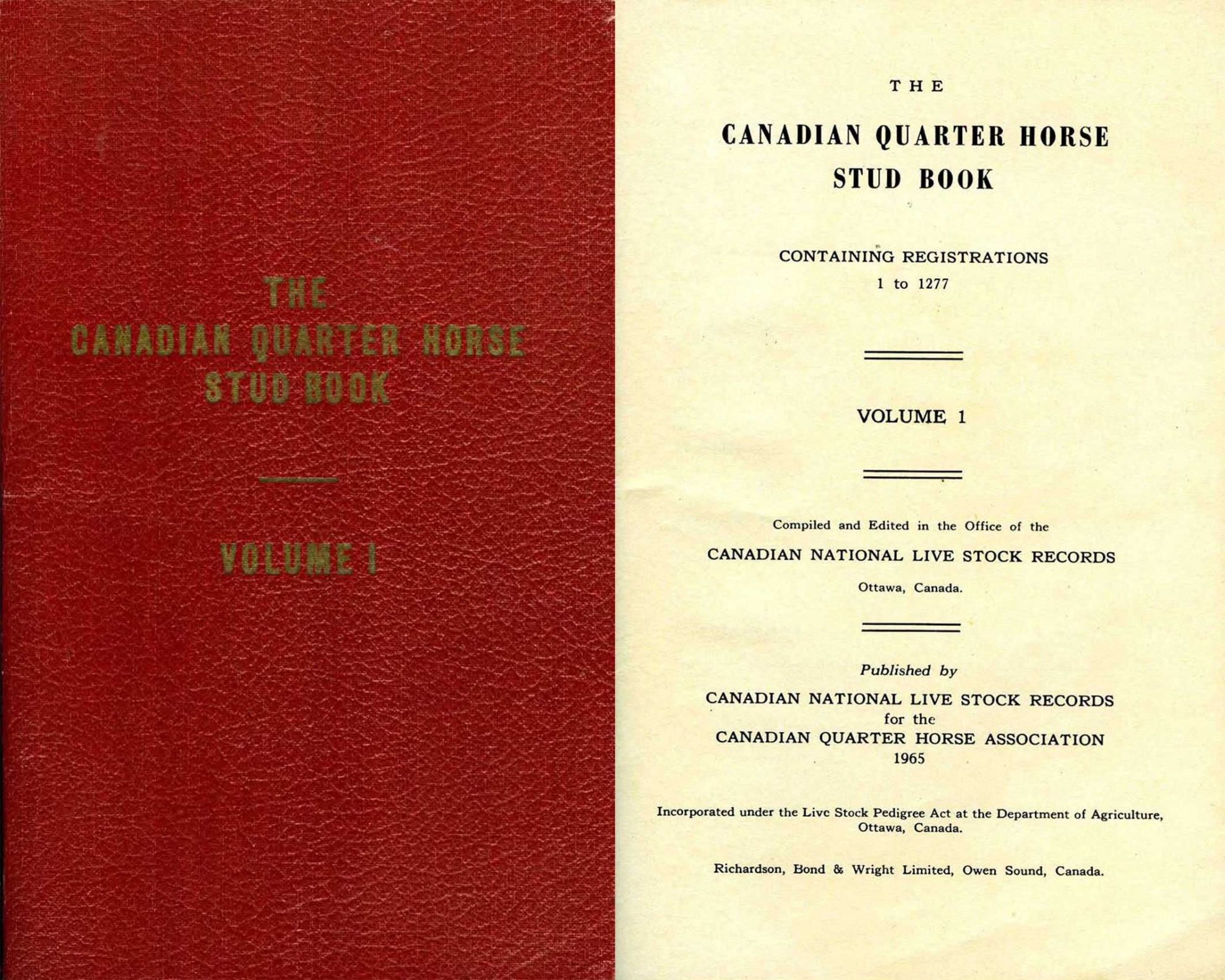 Our History Canadian Quarter Horse Association