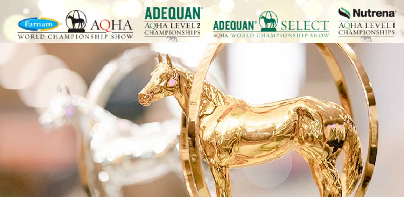 Canadian Results from the AQHA Open, Amateur & Select World